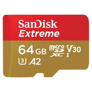 CARTE MÉMOIRE Carte M.SDXC Extreme, 64GB (A2/V30/U3/UHS-I/160MB/