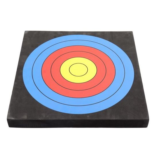 Lot De 10 Flèches Carquois Arc à Vapeur - Fût Carbone - Pour Cible Et Loisir - Marque X-BOW