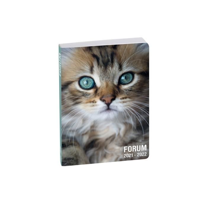 Agenda Scolaire 21 22 17x12 Cm Multilingue Chaton Cdiscount Beaux Arts Et Loisirs Creatifs