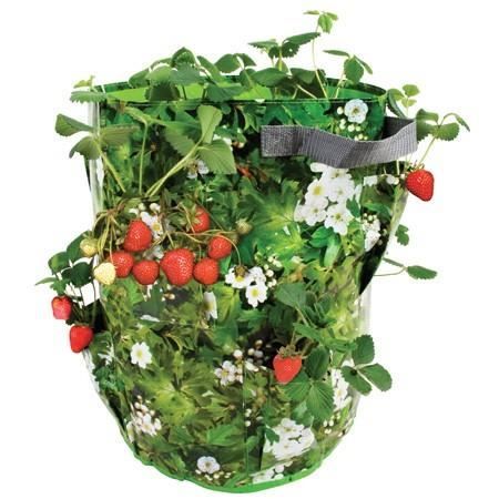Sac à Plantation Fraises pour Terrasse
