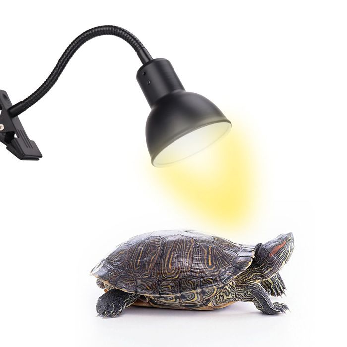 Lampe chauffante reptile UVA UVB avec minuterie terrarium tortue lézard chauffage