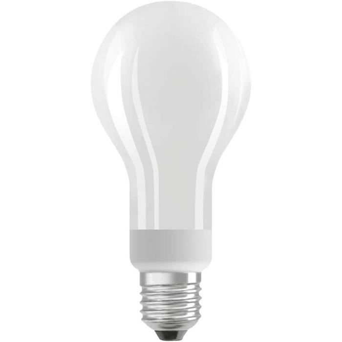 Ampoule LED Culot E27 Blanc chaud 2700 K 18 W équivalent à