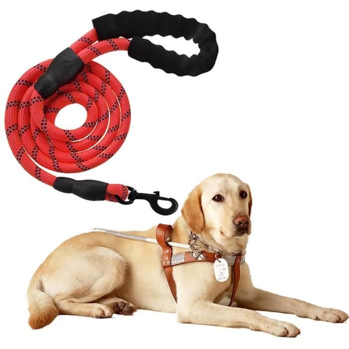 Meilleurs prix pour Laisse Chien - ZGEER - 1,5m - Nylon - Mains-libres - Sécurisée et Confortable