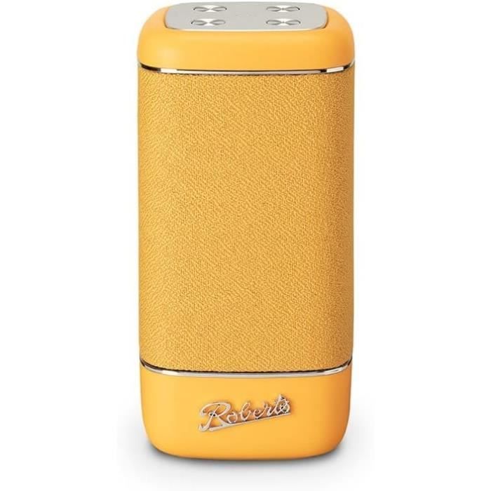 Enceinte Bluetooth Portable 24W Avec Lumières RGB - Étanche IPX6, Autonomie 12h, Télécommande Intégrée