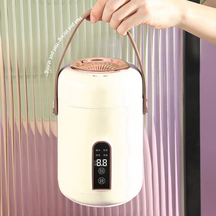 Mini Cuiseur à Riz Portable 200W 1L - Boîte à Bento Multifonction Pour 1-2 Personnes