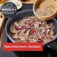 Tefal Natural On Batterie cuisine 9 p, Casseroles 16/20 cm + couv, Poeles 24/26/30 cm, Ustensiles, Antiadhesif, Thermo-Signal-2