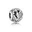 charm pandora peinture charm pandora peinture