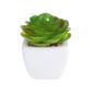 le bureau et la d/écoration ext/érieure Faux Faux Cactus Avec Pots Gris Id/éal pour la maison Maison /& White Ensemble de 6 plantes succulentes artificielles