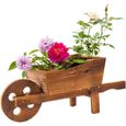 Brouette en bois naturel, Pot de fleurs multifonctionnel pour la décoration des plantes en Pot et des fleurs-0
