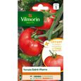 VILMORIN Tomate Saint-Pierre Sachet de graines - Echantillon tomate Agora-0