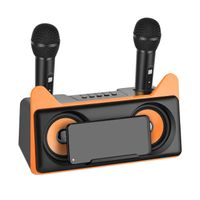 Système de Karaoké Portable,Tout-en-Un Karaoké Complet ,2 Microphones Karaoké sans Fil et Fente pour Microphone Rechargeable