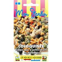 Sachet de  Coloquinte Indian Mix petits fruits - 3 g - légume décoratif - LES GRAINES BOCQUET