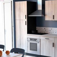 Colonne de cuisine - ABINCI - Noir/Chêne - 2 portes - 3 étagères - L 60 x l 60 x H 207 cm