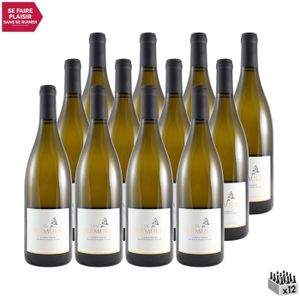 VIN BLANC Languedoc Blanc 2019 - Lot de 12x75cl - Domaine d'