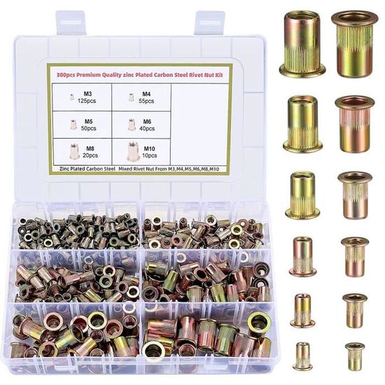 300 Pièces Écrou de Rivet Acier Carbon, Écrous à Sertir Plaqué Zinc ...