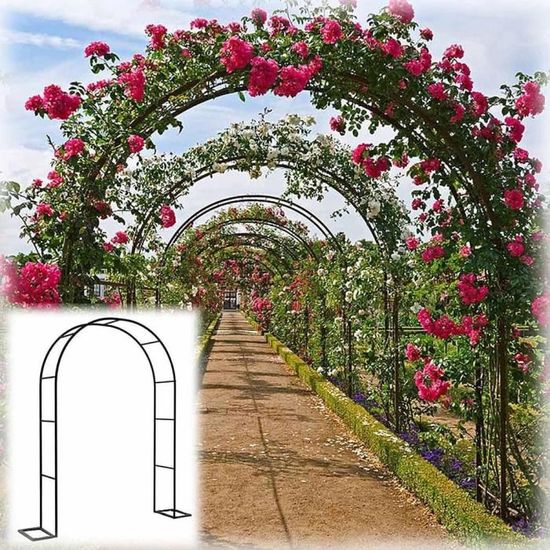 Arche De Jardin En Acier Inoxydable 3x2.4m - Tonnelle Rosier Trellis Pour Plantes Grimpantes