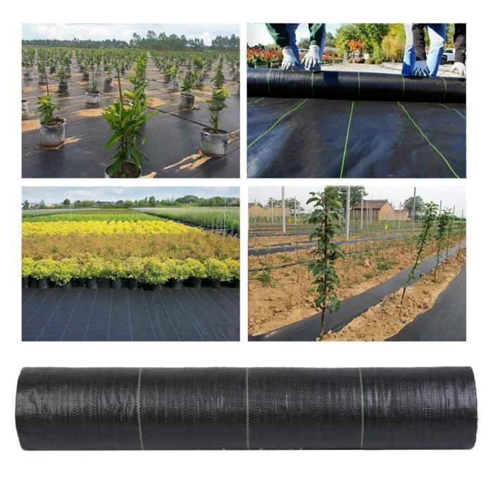 Toile Anti-Mauvaises Herbes 2x50m, Bache Anti Mauvaises Herbes Anti-UV, Géotextile Gravier, Tissu Perméable Résistant à la Déchirure