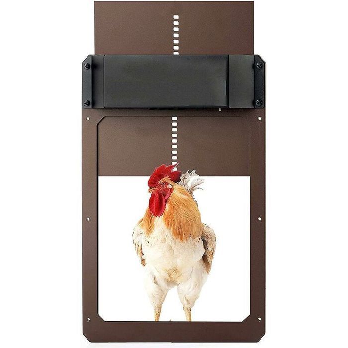 Meilleurs prix pour Porte automatique de poulailler - OKZ® - Alimentée par batterie - Minuterie intégrée - Capteur de lumière