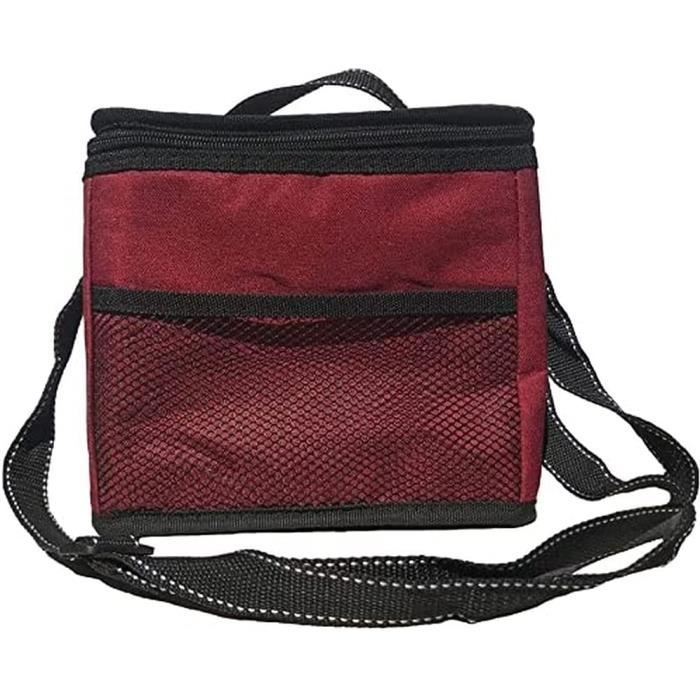 Sac Isotherme Glacière Souple 15L - Pliable - Gris - Idéal Pique-nique, Plage, Bureau