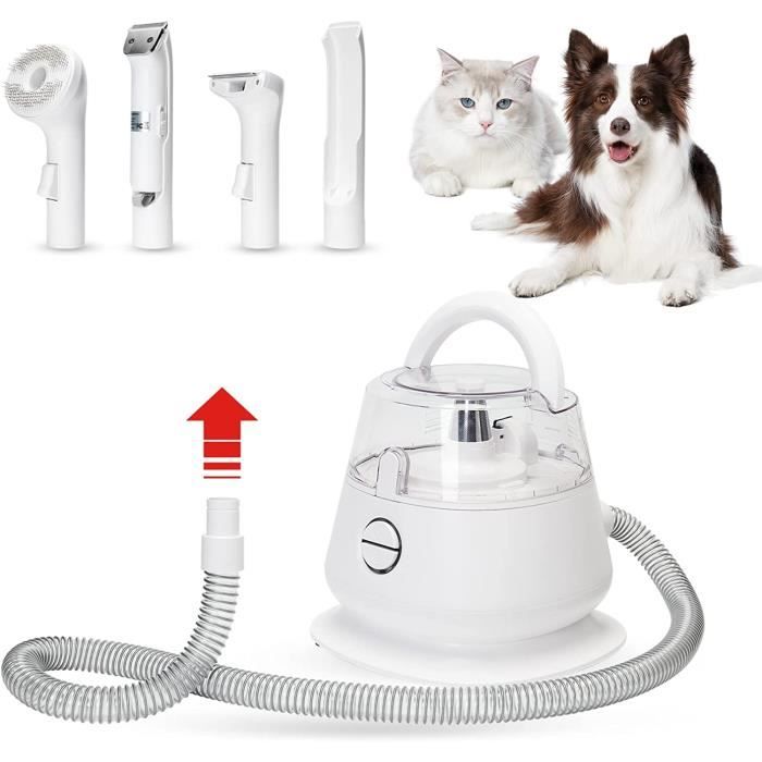 PUPCA Kit D'aspirateur Toilettage pour Chien,Aspirateur Poils Chien 99%  Poils d'animaux Aspiration Puissante et Faible Bruit, Aspirateur pour  Animaux