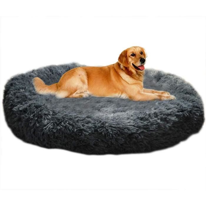 coussin chien xxl