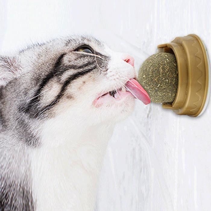 Comparer les prix de Herbe à chats - BETTEVE - élimine les poils pour favoriser la Digestion, boule à coller murale rotative à la menthe