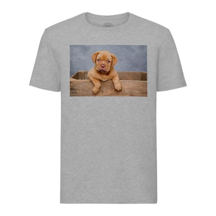 T Shirt Homme Col Rond Gris Chiot Dogue De Bordeaux Bebe Chien Portrait Mignon Gris Cdiscount Pret A Porter