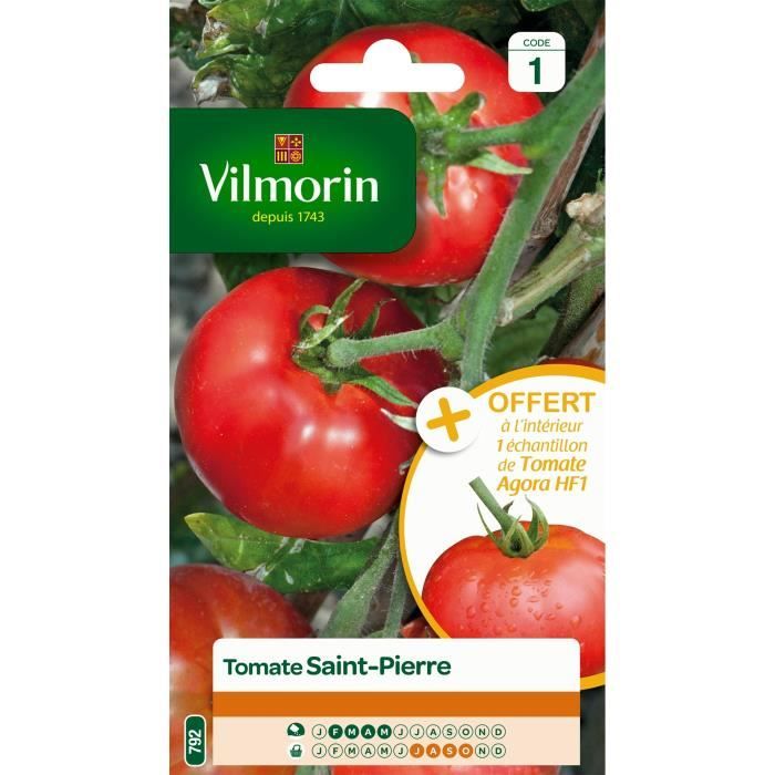 VILMORIN Tomate Saint-Pierre Sachet de graines - Echantillon tomate Agora