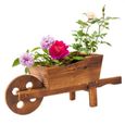 Brouette en bois naturel, Pot de fleurs multifonctionnel pour la décoration des plantes en Pot et des fleurs-1