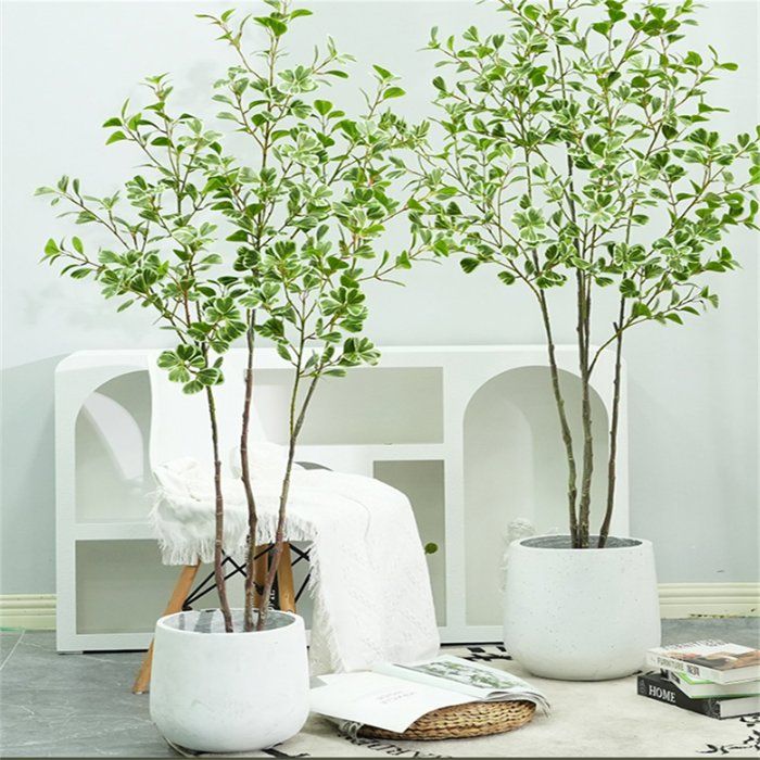 Neinkie Bonsaï Artificiel, Décoration de Plante Artificielle, Plantes d' Intérieur en Pot, Pin Japonais pour Bureau, Jardin Zen, Décoration Intérieure Neinkie Bonsaï Artificiel, Décoration de Plante Artificielle, Plantes d' Intérieur en Pot, Pin Japonais pour Bureau, Jardin Zen, Décoration Intérieure