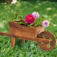 Brouette en bois naturel, Pot de fleurs multifonctionnel pour la décoration des plantes en Pot et des fleurs-3