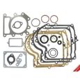 Pochette joints moteur adaptable BRIGGS & STRATTON pour modèle 31 Series - Remplace origine: 690189-0