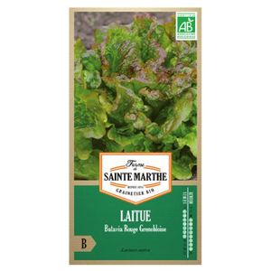 GRAINE - SEMENCE La ferme Sainte Marthe - 500 graines AB - Laitue B