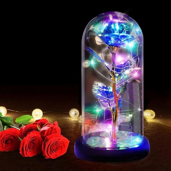 Vraie Rose Éternelle - La Belle et La Bête France