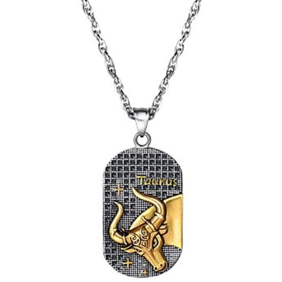 Xnjkws Collier Pendentif Homme et Femme Zodiaque Taureau Gémeaux Acier Titane Argent 60 cm