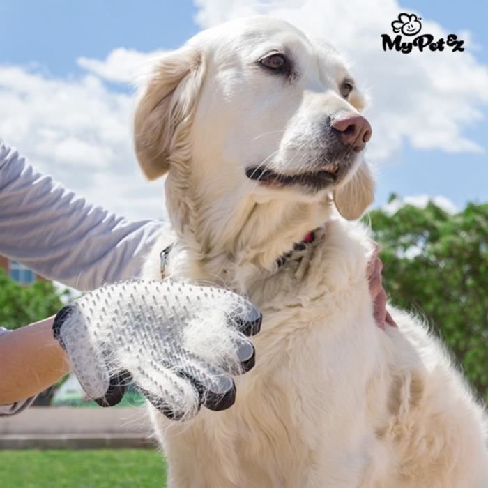 Gant de brossage à picots pour animaux enlève poils