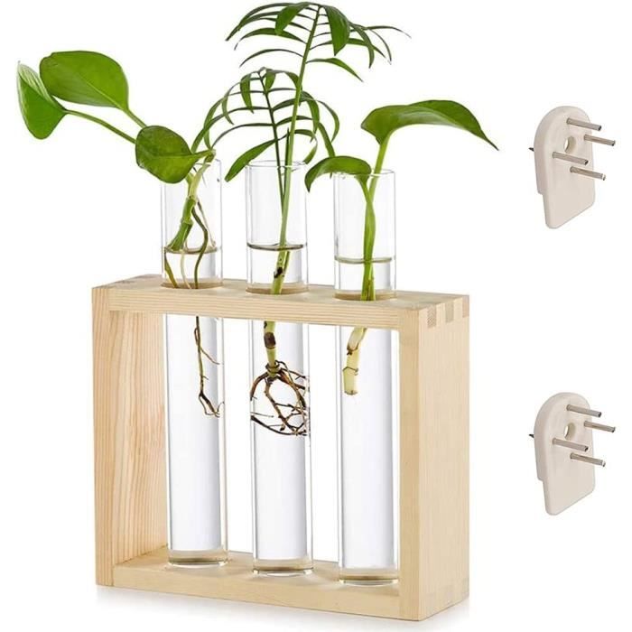 Vase Tube à Essai En Verre Transparent Pour Plantes