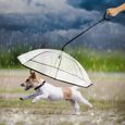 Leytn® Parapluie pour chien avec laisse chien pour promener en plein air sous la neige ou la pluie -1