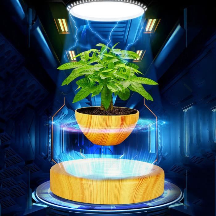 Plante Lévitation Magnétique Pot De Fleur Décoration D'intérieur