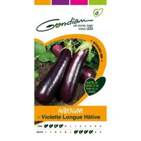 GONDIAN - Graines Légumes : Semences Aubergine Longue Hâtive Violet