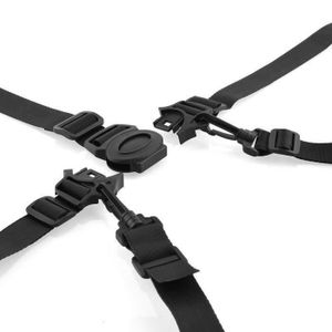 Sangle Siege Bebe Www Neurosurgeondrapoorva Com