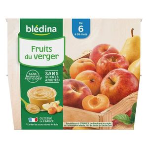 COMPOTE DESSERT FRUITÉ BLEDINA - Coupelles fruits du verger 8x100g