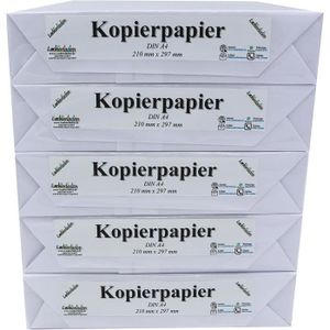 PAPIER IMPRIMANTE 2500 feuilles de papier multifonction pour photoco