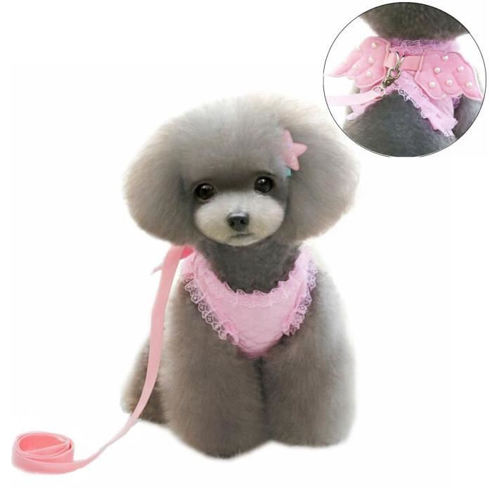 Rose Pour Chien Chiot Harnais Sangle Gilet Laisse Collier Pour Chat Avec Ailes D Ange Qi9kb Achat Vente Harnais Animal Rose Pour Chien Chiot Harnais Cdiscount Rose Pour Chien Chiot Harnais Sangle Gilet Laisse Collier Pour Chat Avec Ailes D Ange Qi9kb Achat Vente Harnais Animal Rose Pour Chien Chiot Harnais Cdiscount