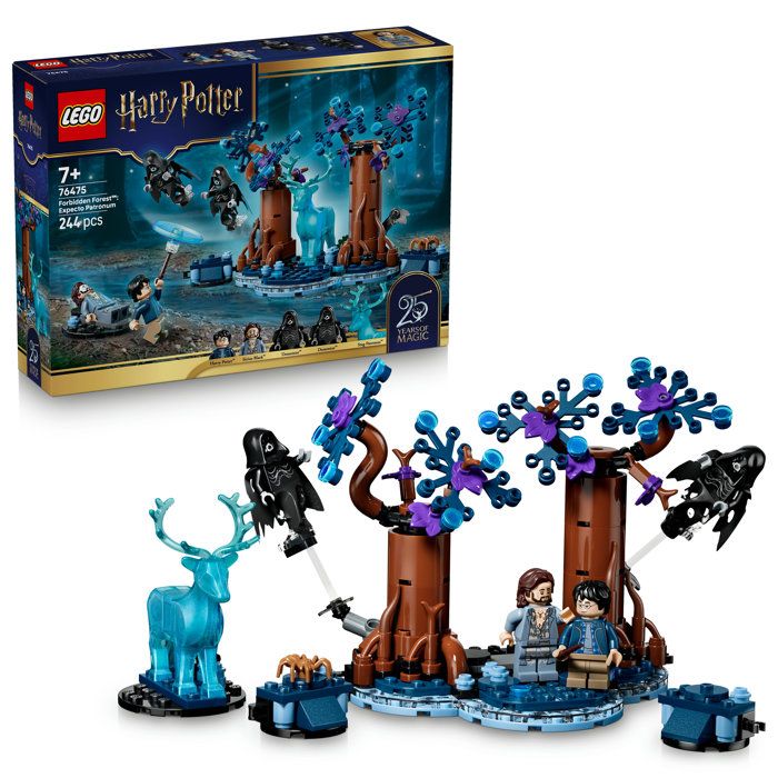 LEGO Harry Potter 76475 La Forêt Interdite chez Cdiscount