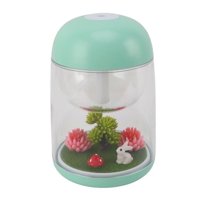 PAR - Petit humidificateur de 450 ml Mini humidificateur d'air Portable