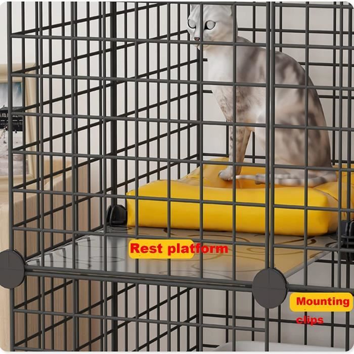 Cage pour promo chaton