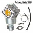 Carburateur Carb Kit Remplacer Pour Briggs & Stratton 791889 698782 693194 499151-0