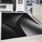 Tapis Modern Salon - ADRIENNE - Noir - 200 x 290 cm - 100% Polypropylène - SIMPEX