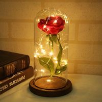 La Belle et la Bête Enchanted Rose Élégant Dôme en Verre avec Lumières LED - Base marron